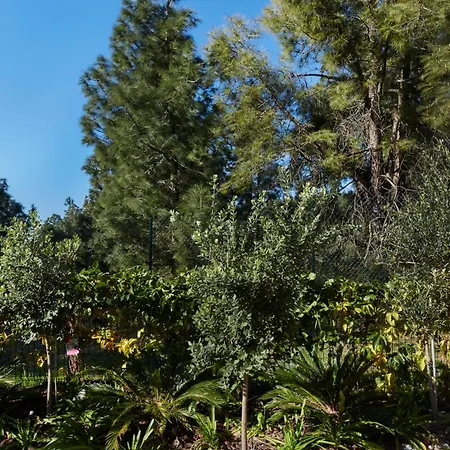 Eden By The Seaside Forest * El Faro